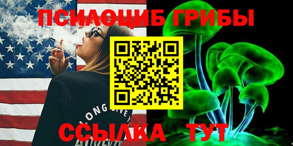 Самара  Псилоцибиновые грибы Psilocybine cubensis  Вход с VPN 