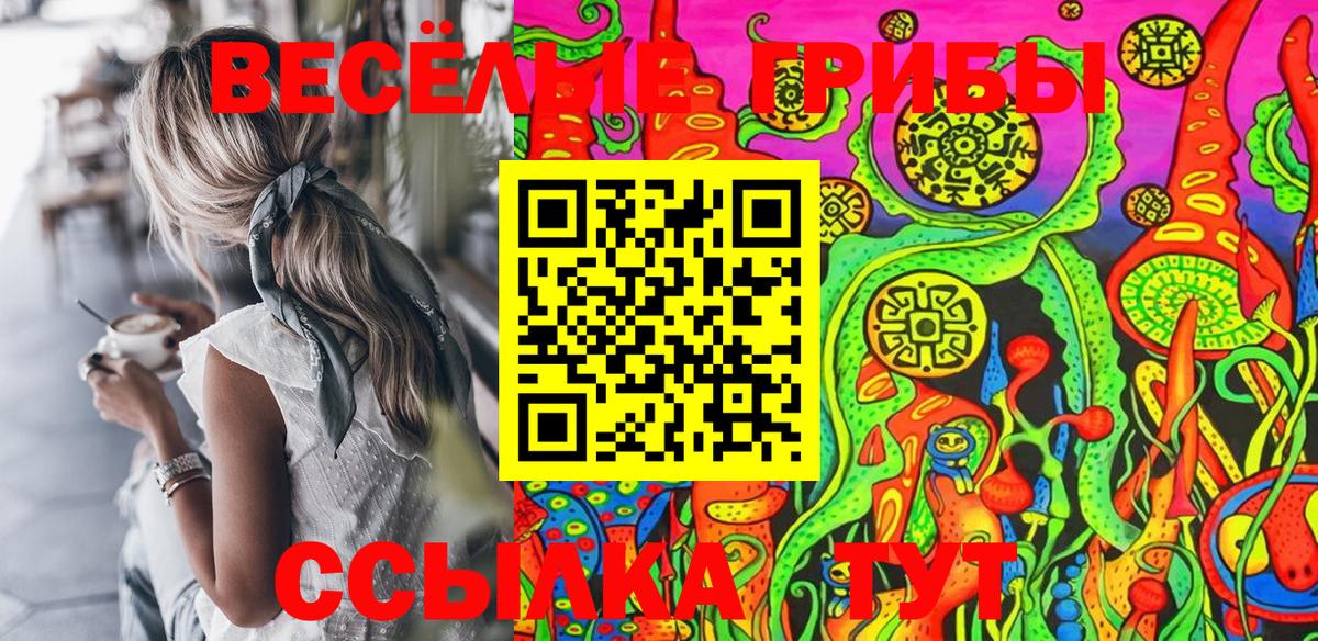 Псилоцибиновые грибы Psilocybe Самара