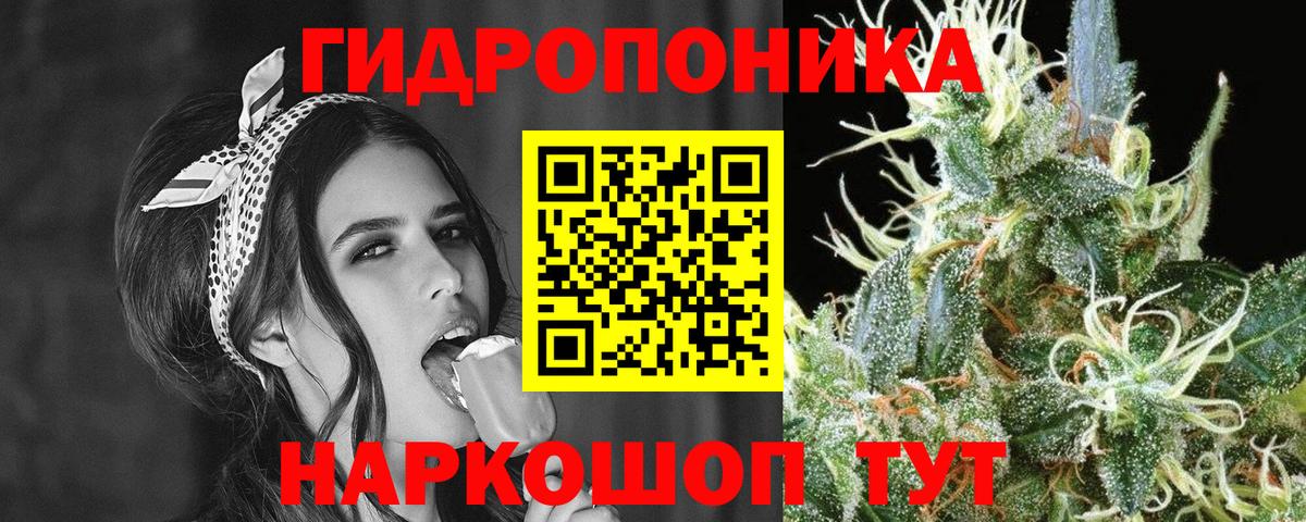 Канабис сатива Самара